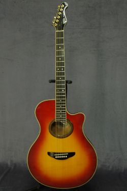 Yamaha APX