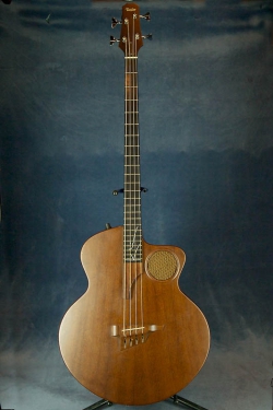 Taylor Acoustic Bass