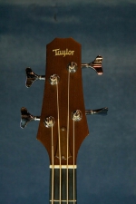 Taylor Acoustic Bass